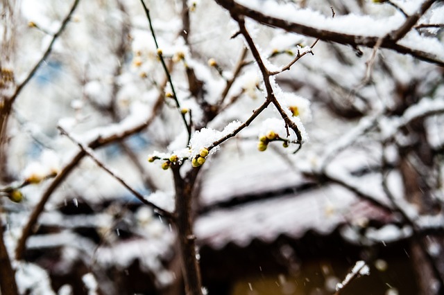 需求