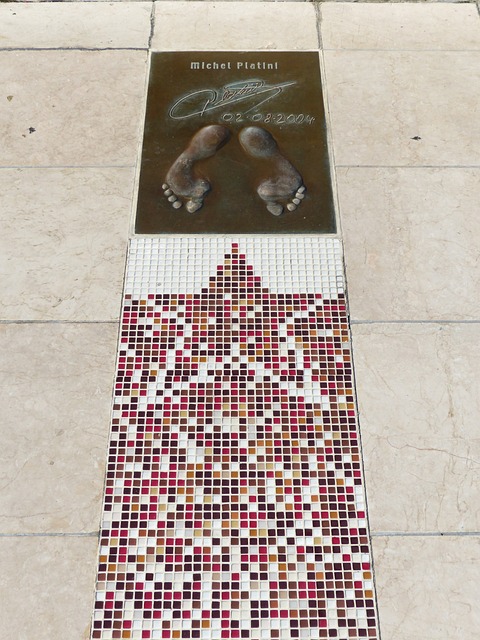 小将将会成